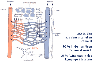 Einwegesystem