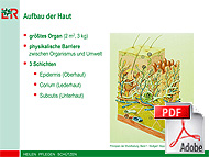 Basisvortrag Moderne Wundbehandlung